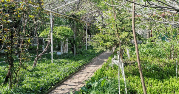 Teren 1166mp, Cartier Grozavesti, deschidere 20m, Rezidential