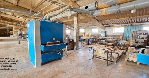 Complex imobiliar format din cladiri si constructii industriale+teren