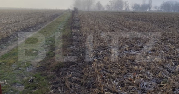 Teren 7200 mp extravilan, Miroslava-Vorovesti, langa zona d