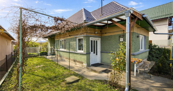 Gospodarie cu atmosfera traditionala,sursa proprie apa,pivni