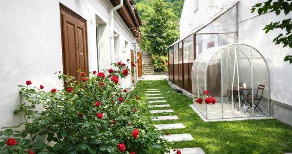 Imobil transfer afacere, locuri parcare, Centrul Istoric,