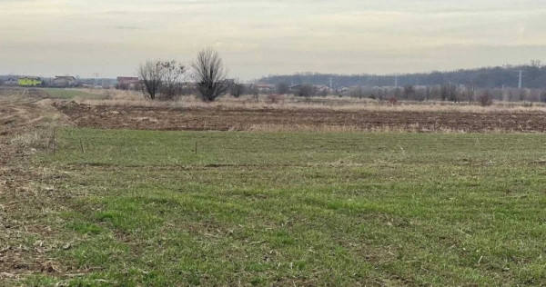 Teren extravilan Gulia Dambovita