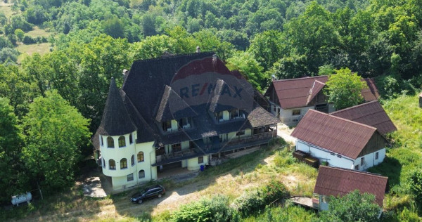 CASTEL DE VANZARE IN MARAMURES