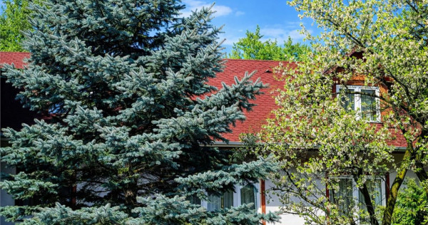 In Vintage style, cu acces auto in curte proprie, zona Star