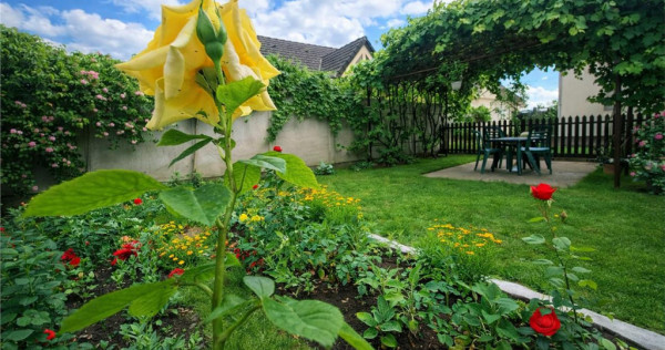 Poveste saseasca la umbra vitei de vie, cu crama si gradina