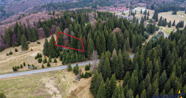 FILM! 1.000 mp,PUZ,regim P 2 M,destinatii turistice rezident