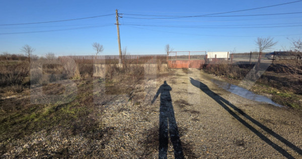 Teren 2.500 mp, front 23 ml, trifazic &ndash; Costești din Deal