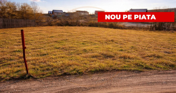 Teren 1262 m2 intravilan Smeura Stoenari