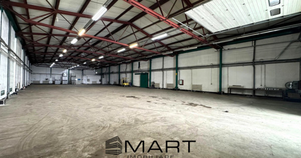 Hala 850mp zona industriala Vest