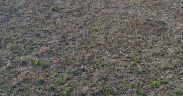 COMISION 0% - Teren intravilan 2091 mp, Mogosesti, Iasi