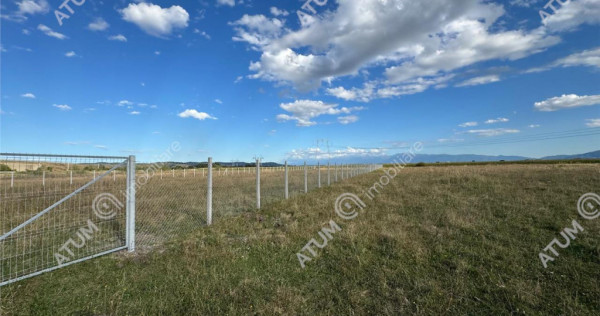 Teren 4200 mp situat in extravilanul zona Calea Surii Mici S