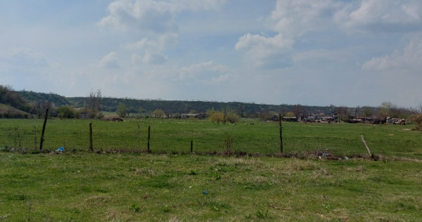 Teren intravilan 3109mp