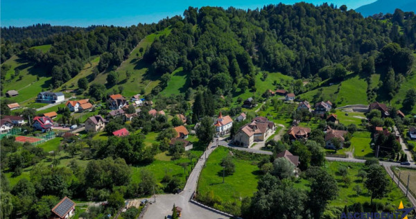 FILM! Proprietate autentica, Bran-Simon, 4.300 mp teren, cas