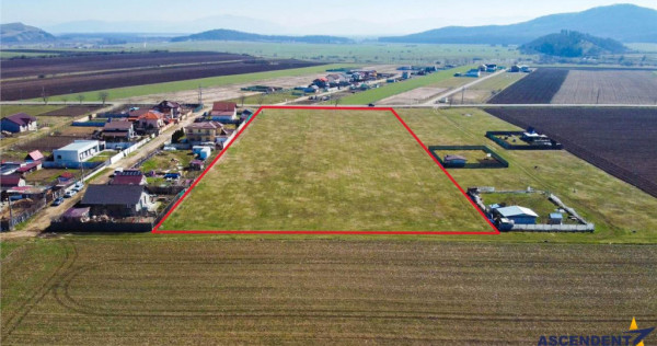 FILM! Domeniu urban, 18.200mp, cu planuri validate, Bod, Bra