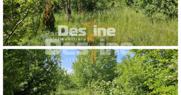 Tomesti-Chicerea, teren intravilan 3523 mp