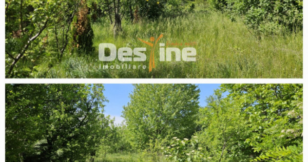 Tomesti-Chicerea, teren intravilan 3523 mp