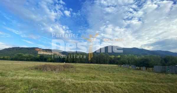 Teren intravilan 13 820 mp, cu acces pe un drum asfaltat, re