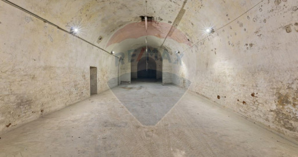 Spațiu comercial de 500mp de &icirc;nchiriat &icirc;n zona Aradul Nou