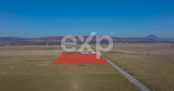 Teren 11.600 mp &ndash; R&acirc;șnov, zona Tabăra, 230 m de DN 73