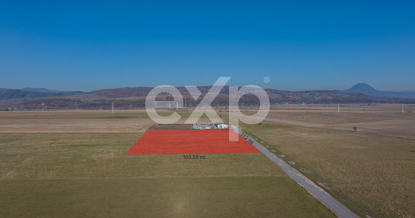 Teren 11.600 mp &ndash; R&acirc;șnov, zona Tabăra, 230 m de DN 73