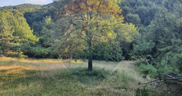 Poiană pentru cabana de vanzare intravilan Coas