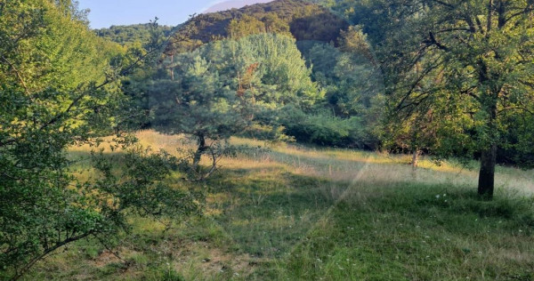 Poiană pentru cabana de vanzare intravilan Coas