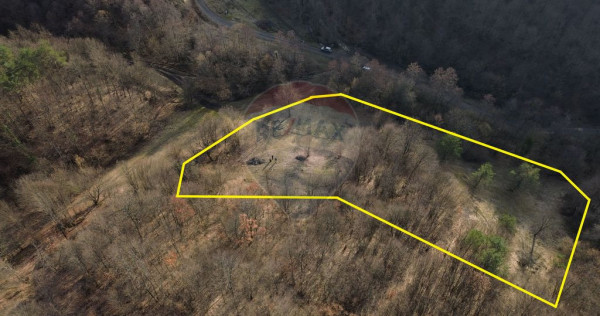 Poiană pentru cabana de vanzare intravilan Coas