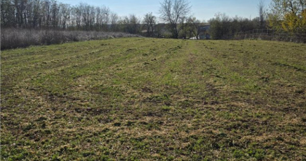 Teren intravilan, 3751mp oportunitate de investitie, cu util