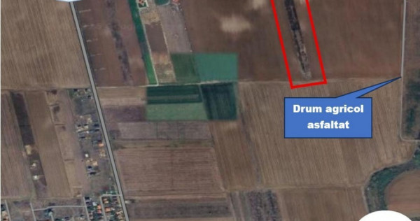 Teren extravilan de v&acirc;nzare &ndash; 2 hectare &icirc;n S&acirc;nandrei