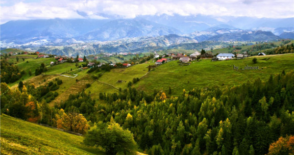 7.000 mp, pozitie spectaculoasa, fara vecini, Fundatica, Bra