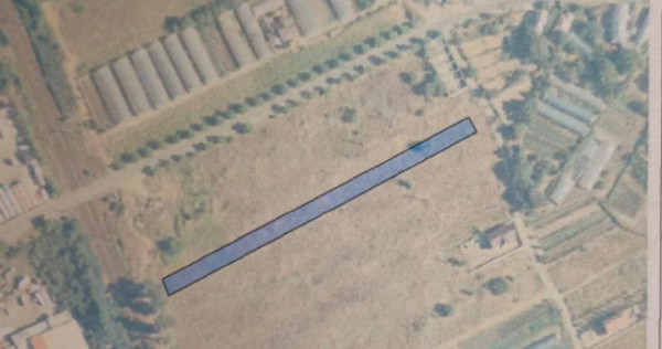 Teren intravilan 3613 mp, front 19 ml, Isalnita