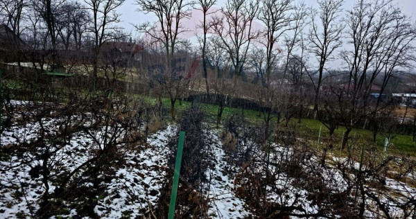 Teren intravilan 4,516mp Doina