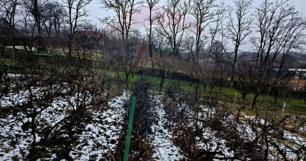 Teren intravilan 4,516mp Doina