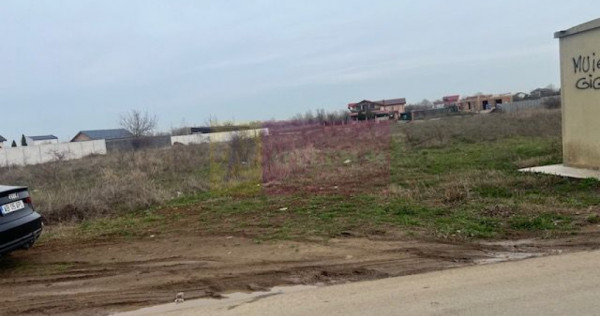 Teren Domnesti- Drumul Targului.