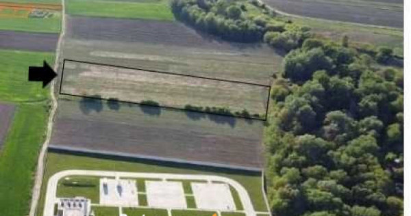 Teren intravilan 7567mp, certificat de urbanism, Magurele