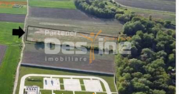 Teren intravilan 7567mp, certificat de urbanism, Magurele