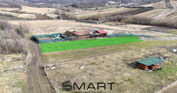 Teren intravilan 10.000mp strada Zadei Gusterita