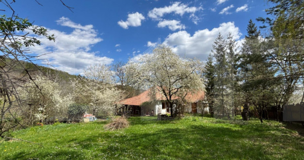 Casă rustică cu livadă &icirc;n Zălan, com. Bodoc, jud. Covas