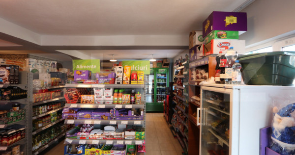Spațiu comercial + teren, 163 mp utili, 983 mp, Mătăsaru/