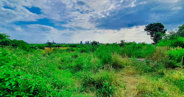 Teren intravilan Bradu Arges