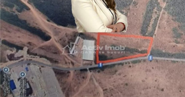 Bocsa Romana, 2 terenuri intravilan, 10.000 Mp.(62.000 Euro)