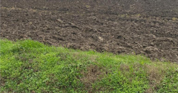 Teren Extravilan 10.000 mp in Prahova