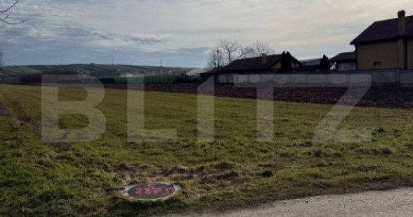 Teren intravilan, 1500 mp, zona Albesti