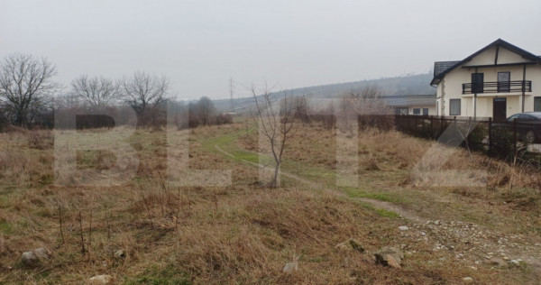 TEREN INTRAVILAN - CENTURA MERILOR