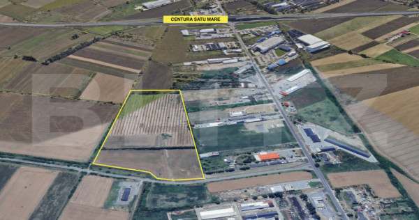 Teren de vanzare/inchiriere/concesiune, 80.326 mp, zona Aure