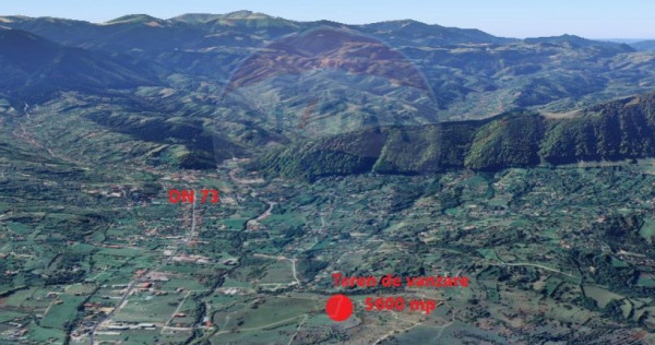 Teren Tohanul Nou 4500mp, in spate Wolf