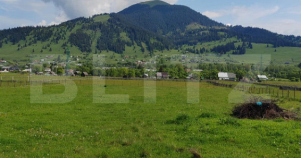 Ofertă de v&acirc;nzare teren, URGENT, Dorna Candrenilor