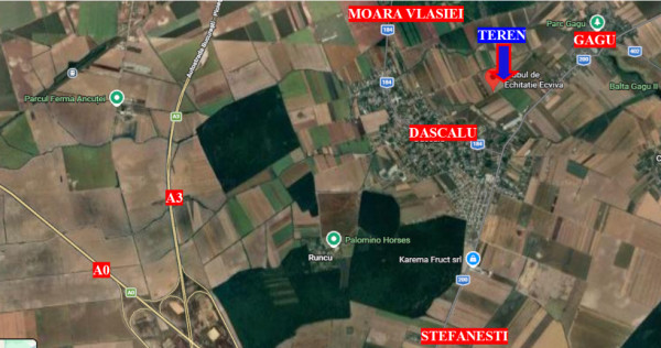 Teren extravilan Dascalu, 10.000 mp