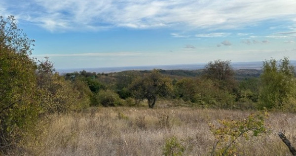 Teren intravilan 5246 mp &ndash; Malu Rosu, Ceptura &ndash; acces drum principal