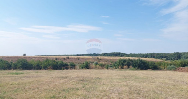 Teren 2,136mp Gradistea / Intrarea Biserica Maxineni